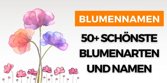 blumennamen-50-schönste-blumenarten-und-namen